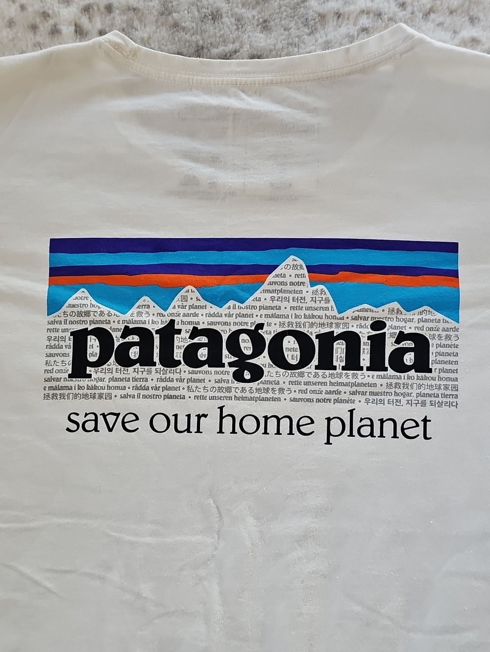 Patagonia T-shirt
